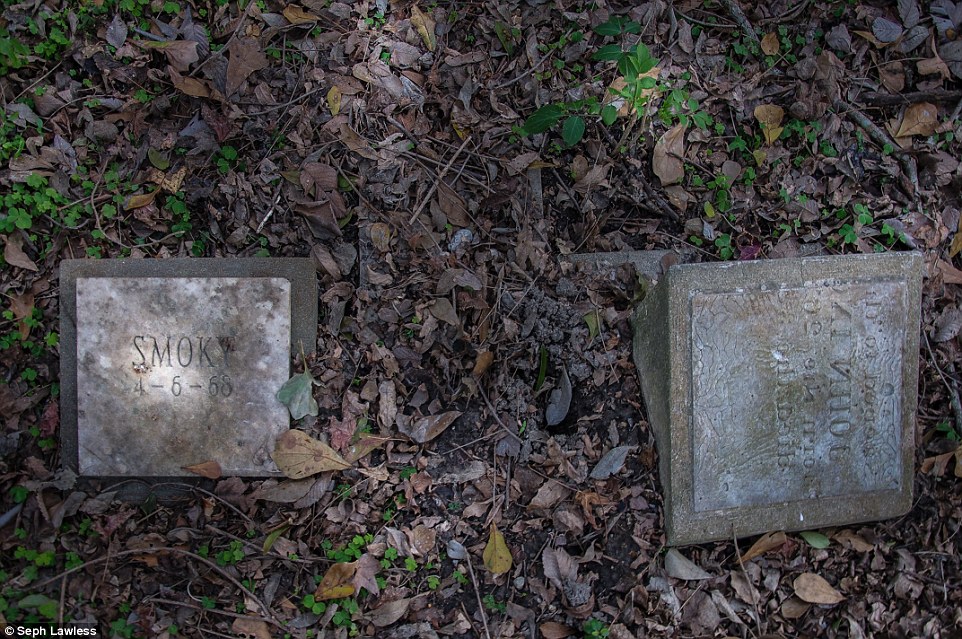 Pet Cemetery abandonado tras Katrina (Daily Mail-Sepp Lawless) #3